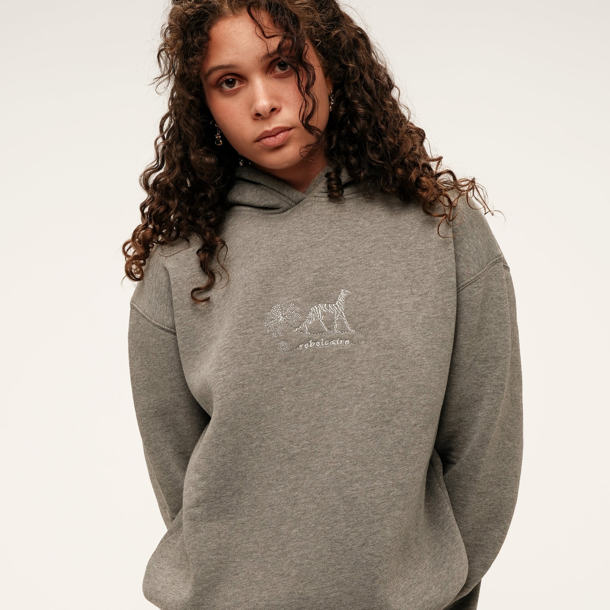 AD ASTRA OVER-SIZED EMBROIDERED HOODIE